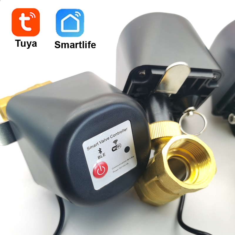 Tuya Zigbee Garden Irrigation Controller - Katup Air Pintar Tuya Zigbee WIFI