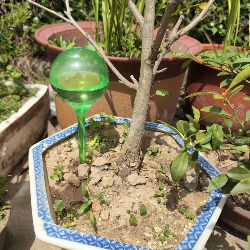6PCS Bola Penyiram Otomatis un - Drip Irrigation System Automatic Kit ulasan dan harga