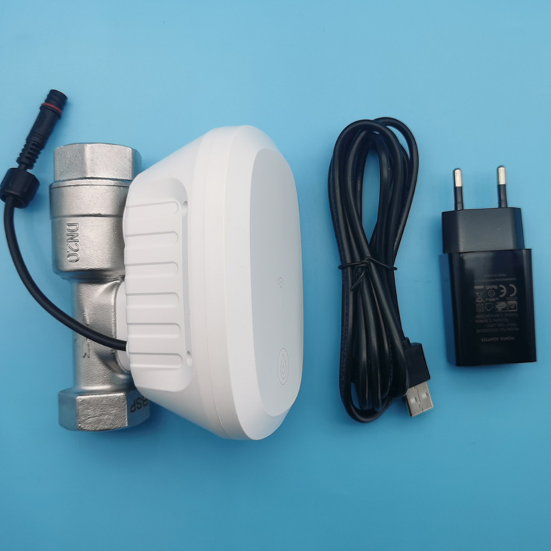 Katup Air WiFi Zigbee Tuya Sma - Tuya Zigbee Garden Irrigation Controller ulasan dan harga