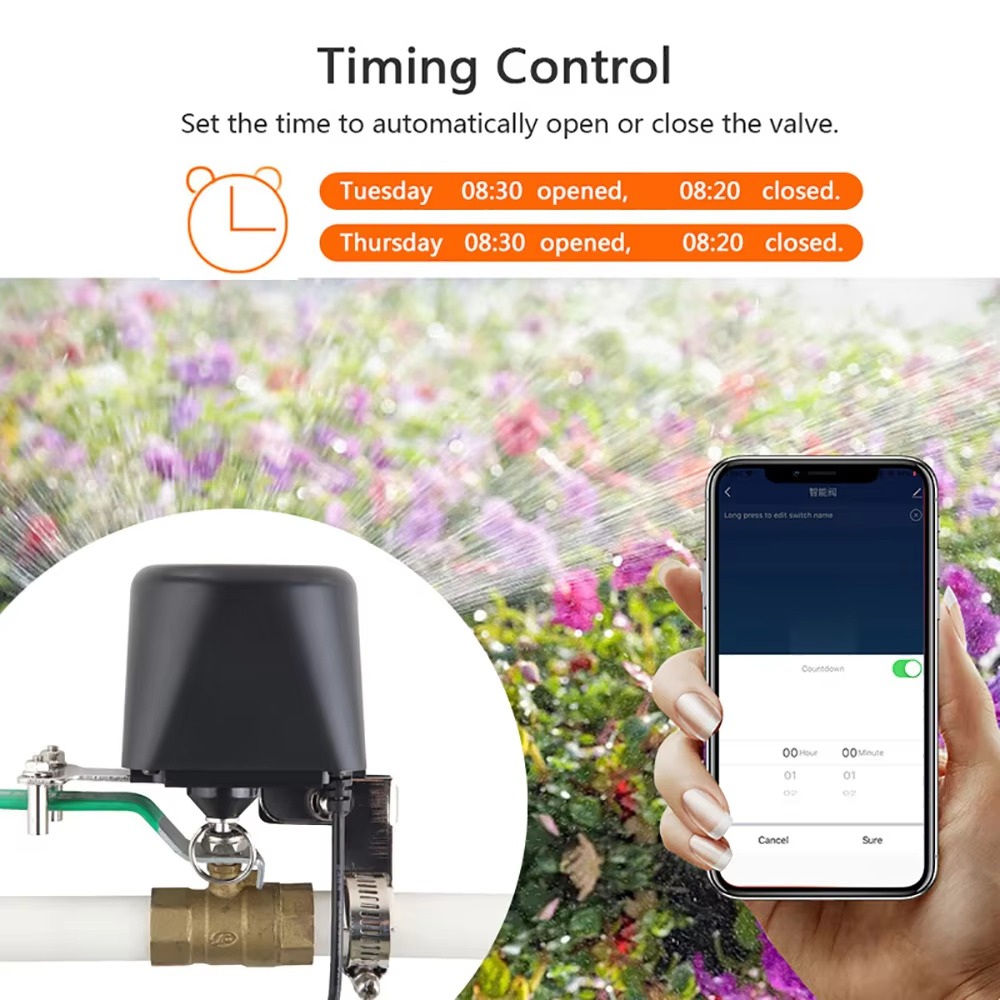 Tuya Zigbee atau Wifi Katup Ai - Tuya Zigbee Garden Irrigation Controller ulasan dan harga