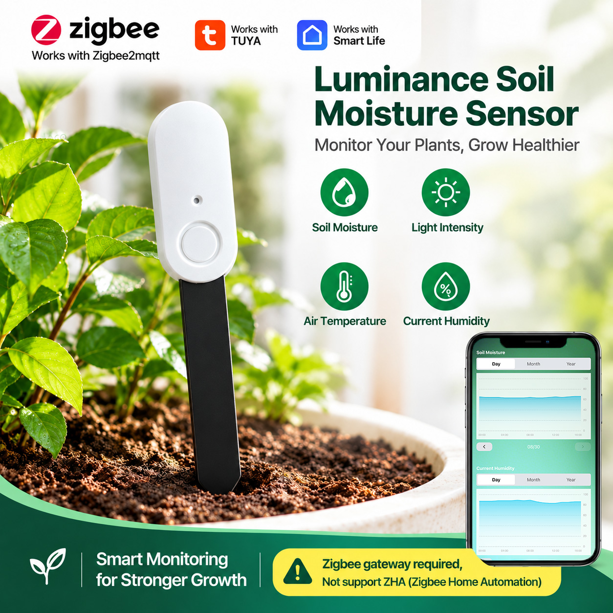 Sensor Kelembapan Tanah ZigBee - Tuya Zigbee Garden Irrigation Controller ulasan dan harga