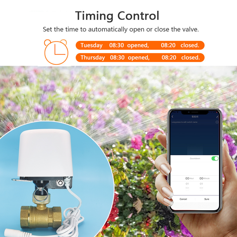 Katup Air WiFi Zigbee Tuya Pin - Tuya Zigbee Garden Irrigation Controller ulasan dan harga
